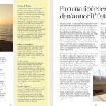 Huile de lin et essence de térébenthine : guide pratique d’utilisation et conseils de sécurité