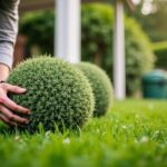 Prestige Aménagement Extérieur : Votre Partenaire d’Exception pour des Jardins Sur Mesure