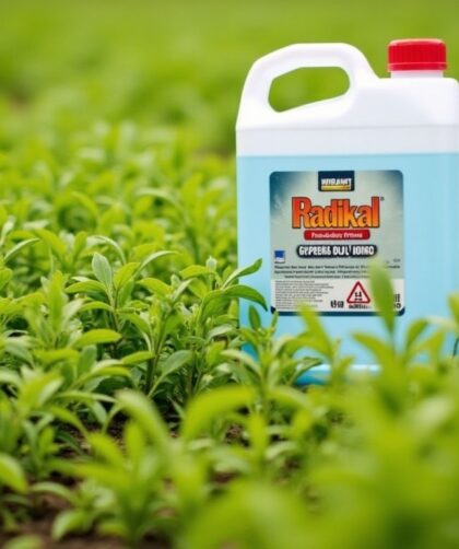 Radikal 5L, désherbant au glyphosate en Espagne : guide complet d'achat et conseils d'utilisation